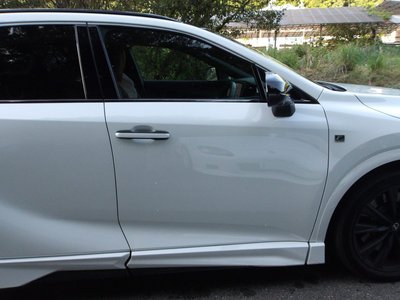 2025 Lexus RX photo 14