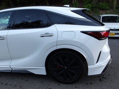 2025 Lexus RX photo 6