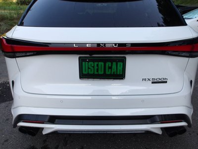 2025 Lexus RX photo 10