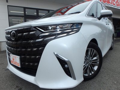 2024 Toyota ALPHARD 照片 8