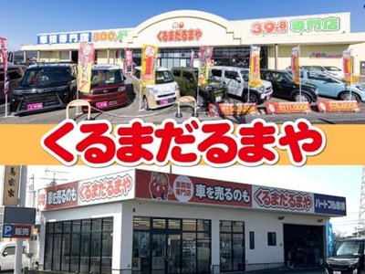 2024 Toyota ALPHARD 照片 6