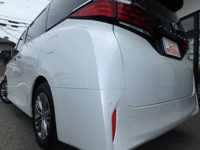 2024 Toyota ALPHARD 照片 13