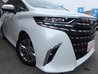 2024 Toyota ALPHARD 照片 9
