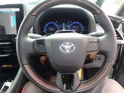 2024 Toyota ALPHARD 照片 14
