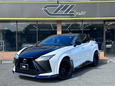 2024 Lexus RZ — фото 1