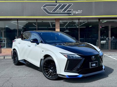 2024 Lexus RZ — фото 3