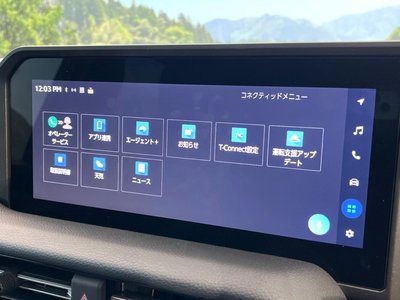 2026 Toyota LAND CRUISER 250 thumbnail 55