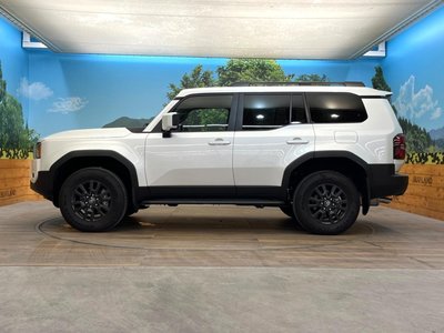 2026 Toyota LAND CRUISER 250 thumbnail 22