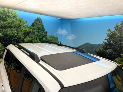 2026 Toyota LAND CRUISER 250 thumbnail 70