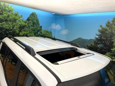 2026 Toyota LAND CRUISER 250 photo 5