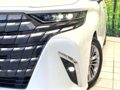 2024 Toyota ALPHARD 照片 13
