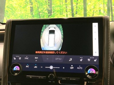 2024 Toyota ALPHARD 照片 71