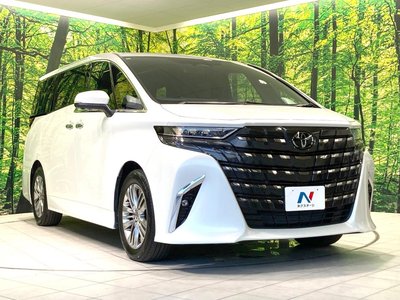 2024 Toyota ALPHARD 照片 17