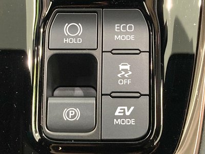 2024 Toyota ALPHARD 照片 74