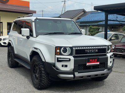 2025 Toyota LAND CRUISER 250 照片 3