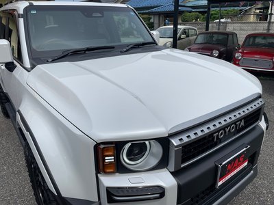 2025 Toyota LAND CRUISER 250 照片 75