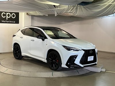 صورة مصغرة 13 لـ 2023 Lexus NX