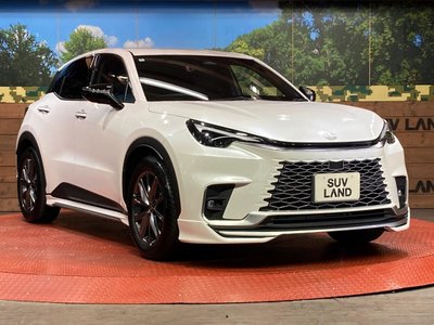 2024 Lexus LBX 照片 16