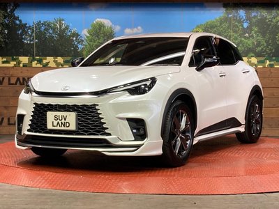 2024 Lexus LBX 照片 28