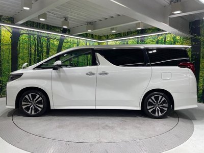 2023 Toyota ALPHARD — фото 59