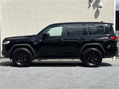 2023 Toyota LAND CRUISER 300 thumbnail 30