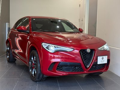 صورة 5 لـ 2019 ALFA Romeo STELVIO