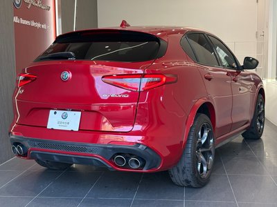 صورة 6 لـ 2019 ALFA Romeo STELVIO