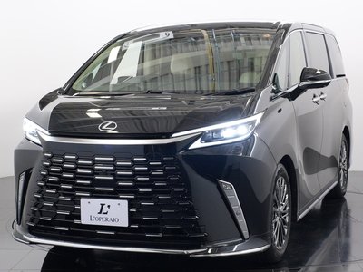 2025 Lexus LM thumbnail 18
