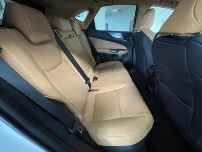 2025 Lexus NX 照片 43