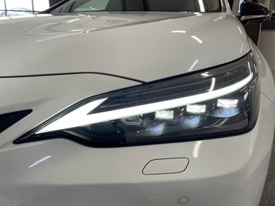 2025 Lexus NX 照片 12