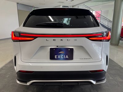 2025 Lexus NX 照片 7