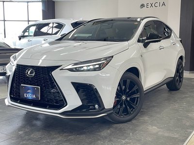 2025 Lexus NX 照片 5