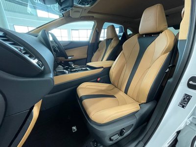 2025 Lexus NX 照片 41