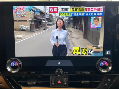 2025 Lexus NX 照片 29
