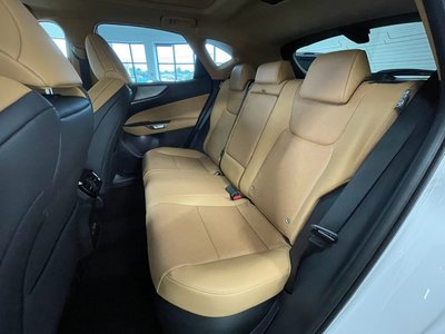 2025 Lexus NX 照片 46