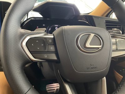 2025 Lexus NX 照片 20
