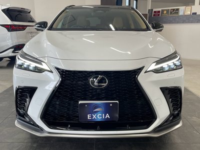 2025 Lexus NX 照片 4