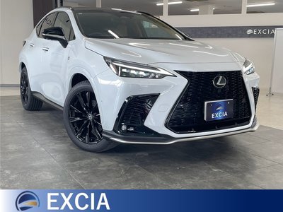 2025 Lexus NX 照片 1