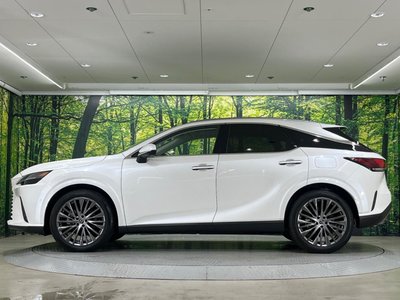 2023 Lexus RX — фото 25