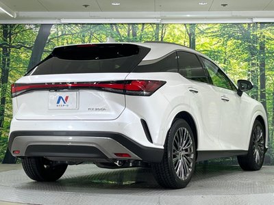 2023 Lexus RX — фото 27