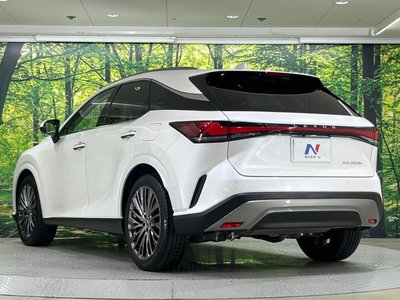 2023 Lexus RX — фото 17