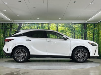 2023 Lexus RX — фото 26