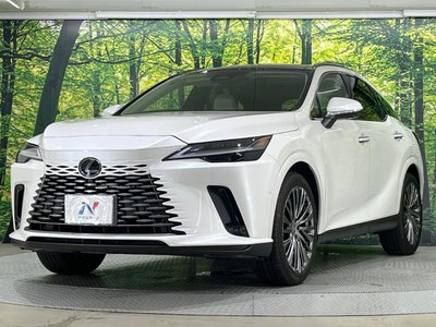 2023 Lexus RX — фото 24