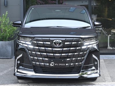 2024 Toyota ALPHARD 照片 9