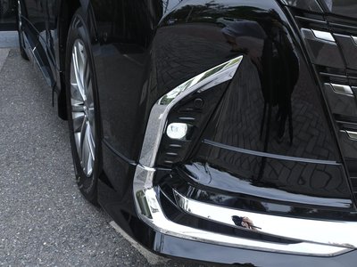 2024 Toyota ALPHARD 照片 12