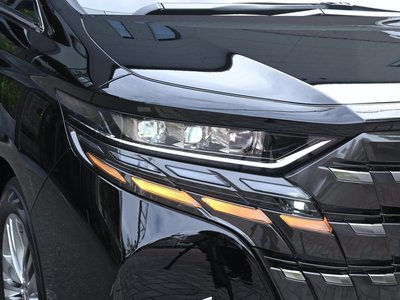 2024 Toyota ALPHARD 照片 14