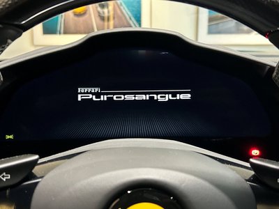 2024 Ferrari PUROSANGUE 照片 17