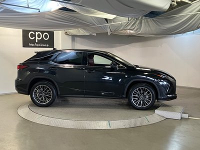 2021 Lexus RX photo 9