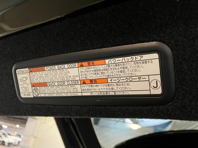 2021 Lexus RX thumbnail 30