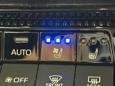 2024 Toyota LAND CRUISER 250 photo 70